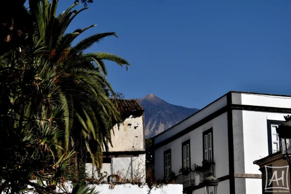 The photo captures a stunning view of Mount Teide, the volcanic mountain that dominates the skyline of Tenerife, Spain. In the foreground, we see a tall palm tree, its fronds swaying in the gentle breeze. The palm tree is surrounded by a row of white houses.
